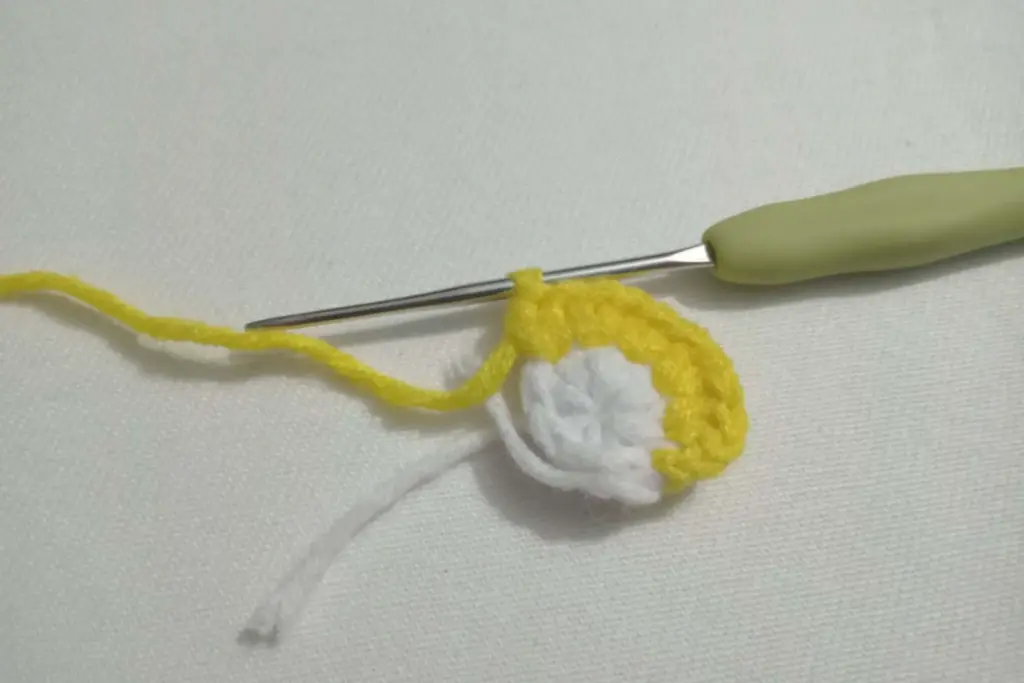 Amigurumi Watermelon Fruit Slice