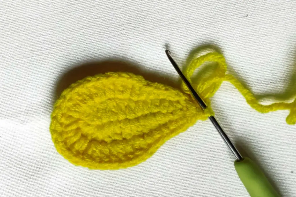 Beginner Friendly Corchet Avocado
