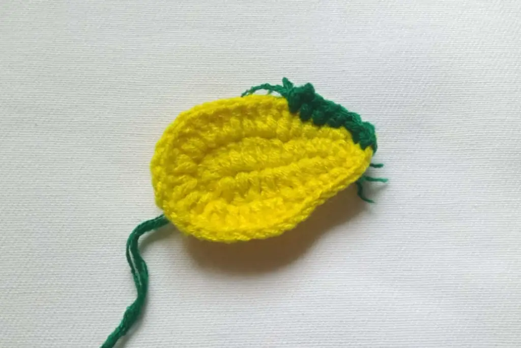 Beginner Friendly Corchet Avocado