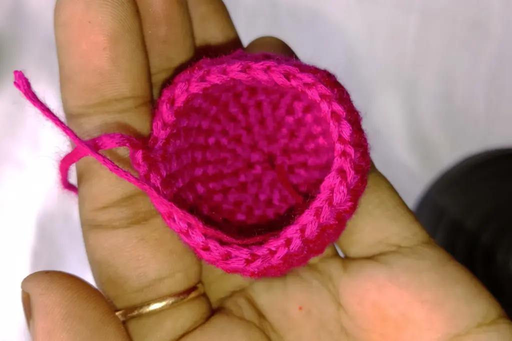 Tulip Crochet Keychain- Step by Step Guide for Beginners