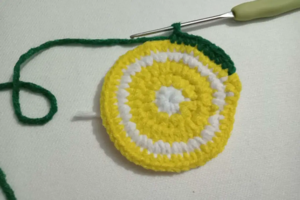 Amigurumi Watermelon Fruit Slice