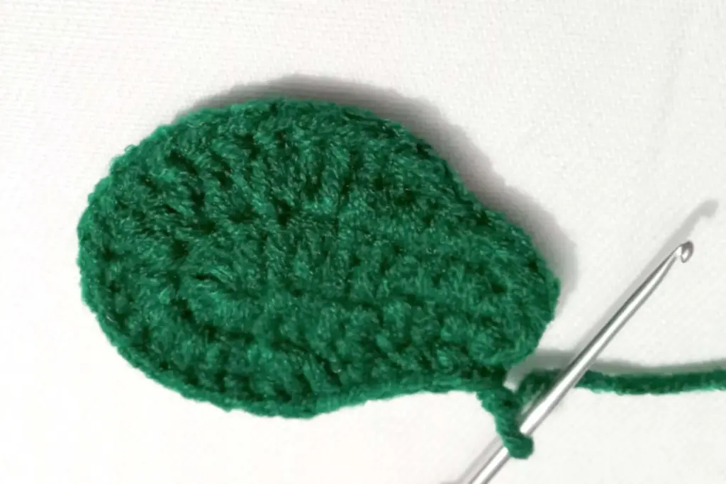 Beginner Friendly Corchet Avocado