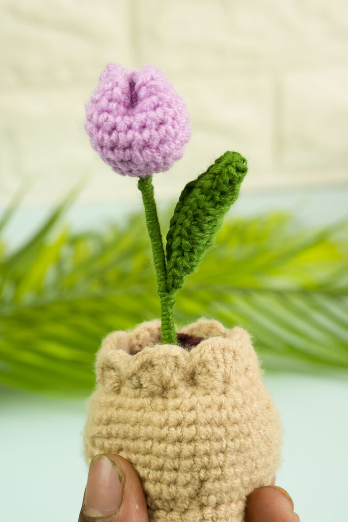 Free Crochet Tulip Pattern for Beginners