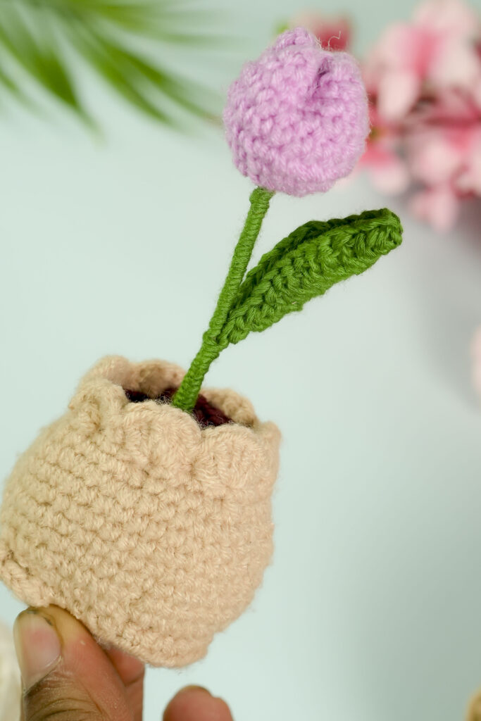 Free Crochet Tulip Pattern for Beginners