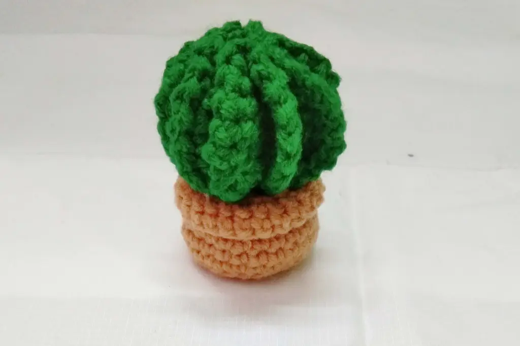 Assembling the Cactus