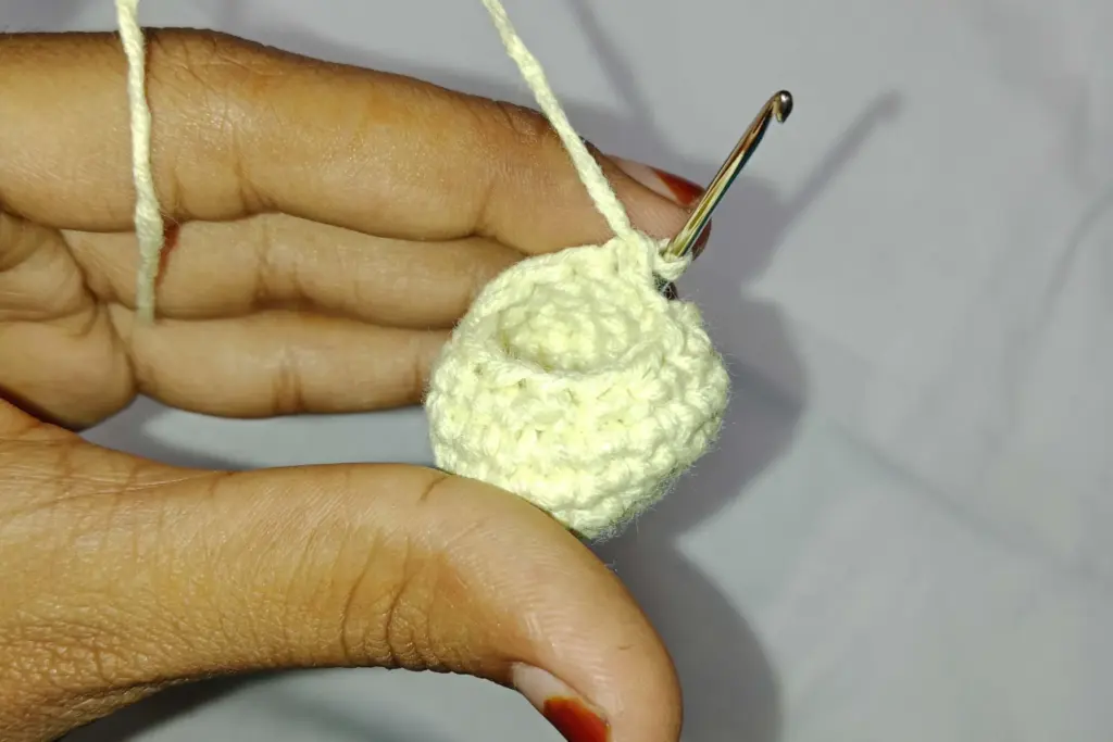 Creating the Flippers