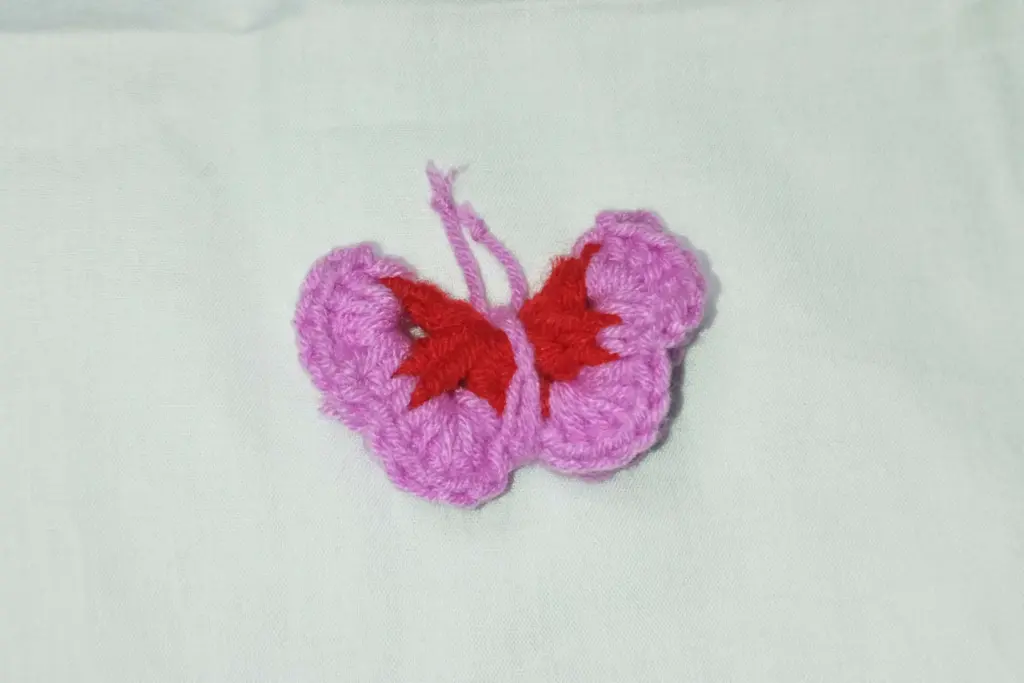 Folding the Shape into a Butterfly