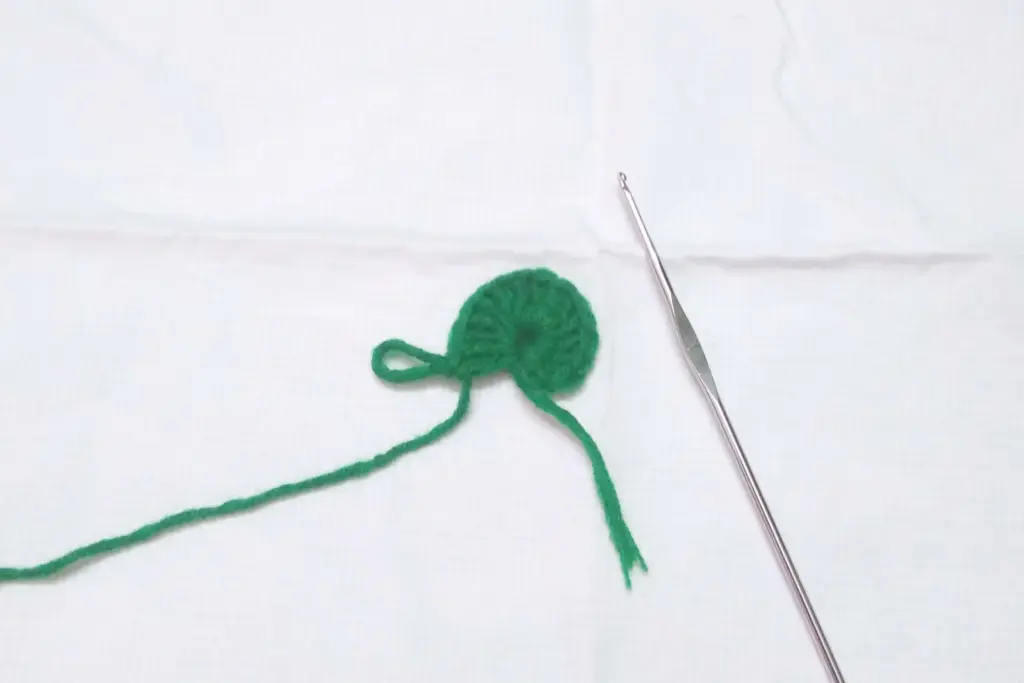 Shaping the Cactus Body