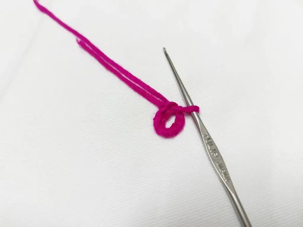 Starting the Center Foundation