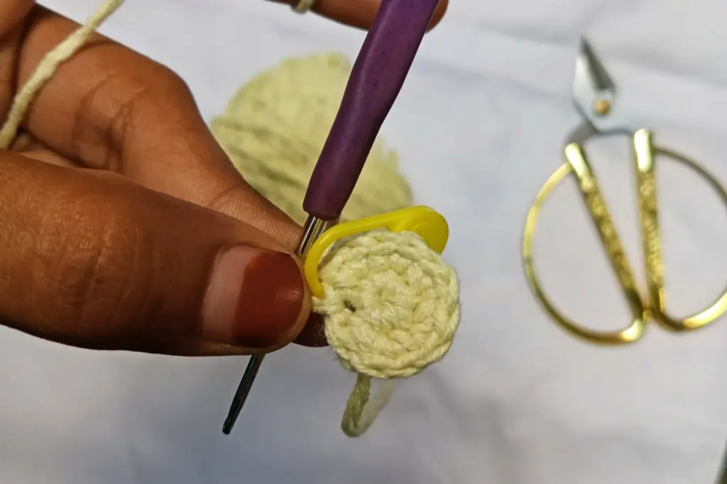 Understanding the Octopus Shape