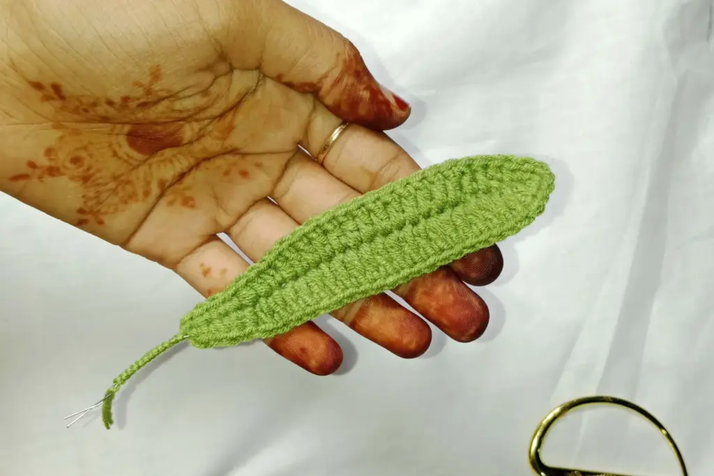 Understanding the Petal Structure